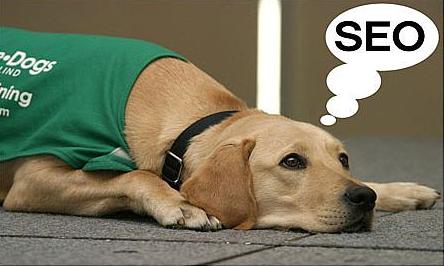 哪些類(lèi)型的改動(dòng)會(huì )影響到網(wǎng)站的seo？