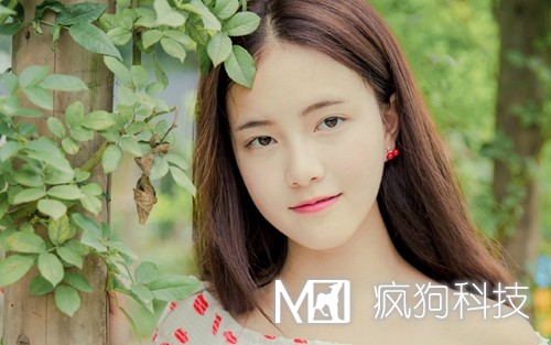 2017年網(wǎng)站推廣的20個(gè)方法策略？