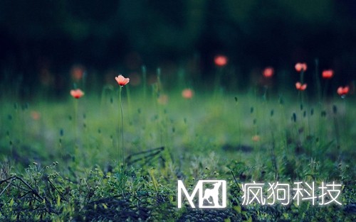 如何提高網(wǎng)站粘度，增加網(wǎng)站回頭客？