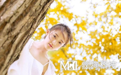 收藏：快速頁(yè)面收錄的六大絕技！